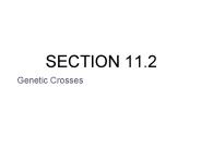 Genetic Crosses
