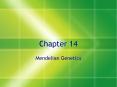Mendelian Genetics PowerPoint PPT Presentation