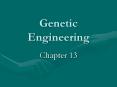 Genetic Engineering PowerPoint PPT Presentation