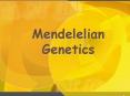 Mendelelian Genetics PowerPoint PPT Presentation