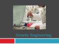 Genetic Engineering PowerPoint PPT Presentation