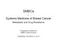 SMBCa - Systems Medicine of Breast Cancer Metastasis and Drug Resistance PowerPoint PPT Presentation