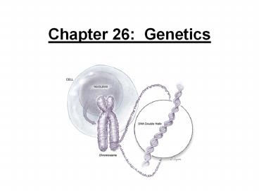 Chapter 26: Genetics
