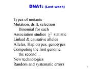DNA1: (Last week)