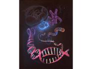 Tracking the Human Genome