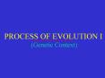 PROCESS OF EVOLUTION I (Genetic Context) PowerPoint PPT Presentation