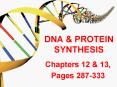 DNA PowerPoint PPT Presentation
