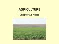 AGRICULTURE PowerPoint PPT Presentation