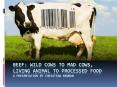 Beef: wild cows to mad cows, living animal to processed food A presentation by Christina Newman PowerPoint PPT Presentation