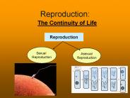 Reproduction: