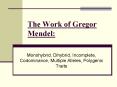The Work of Gregor Mendel: PowerPoint PPT Presentation