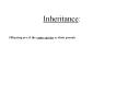 Inheritance: PowerPoint PPT Presentation
