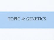 TOPIC%204:%20GENETICS