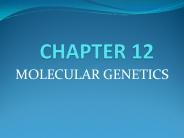 MOLECULAR GENETICS