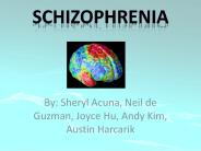 Schizophrenia