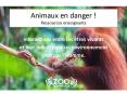 Animaux en danger ! Ressources enseignants PowerPoint PPT Presentation