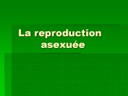 La reproduction asexu
