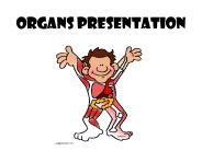Organs presentation