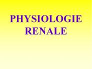 PHYSIOLOGIE RENALE