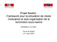 Projet Neubot : Framework pour la simulation de robots modulaires et auto-organisation de la locomotion sous-marine PowerPoint PPT Presentation