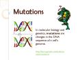 Mutations PowerPoint PPT Presentation