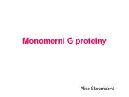 Monomern