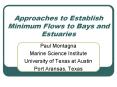 Approaches to Establish Minimum Flows to Bays and Estuaries PowerPoint PPT Presentation
