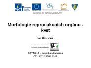 Morfologie reprodukcn