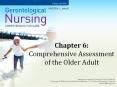 Chapter 6: Comprehensive Assessment of the Older Adult PowerPoint PPT Presentation