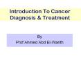 Introduction To Cancer Diagnosis PowerPoint PPT Presentation