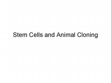 Stem Cells and Animal Cloning