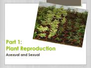 Part 1: Plant Reproduction
