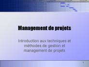 Management%20de%20projets