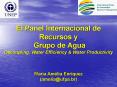 El Panel Internacional de Recursos y  Grupo de Agua Decoupling, Water Efficiency PowerPoint PPT Presentation