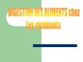 GESTION DE LA MANGEOIRE POUR UNE INGESTION MAXIMALE ET REGULIERE PowerPoint PPT Presentation