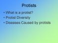 Protists PowerPoint PPT Presentation