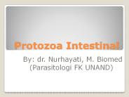 Protozoa Intestinal