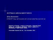 SISTEMAS AGROALIMENTARIOS Silvia Gorenstein CONICET-Dep. de Econom