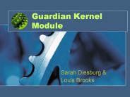 Guardian Kernel       Module
