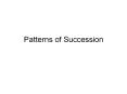 Patterns of Succession PowerPoint PPT Presentation