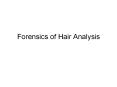 Forensics of Hair Analysis PowerPoint PPT Presentation