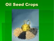 Oil Seed Crops