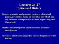 Lectures 26-27 Spices and History PowerPoint PPT Presentation