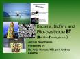 Bacteria, Biofilm, and Bio-pesticide BT (Bacillus Thuringiensis) PowerPoint PPT Presentation