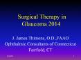 Surgical Therapy in Glaucoma 2014 PowerPoint PPT Presentation