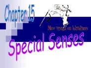 Special Senses