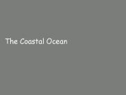 The Coastal Ocean
