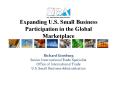 Expanding U.S. Small Business Participation in the Global Marketplace PowerPoint PPT Presentation