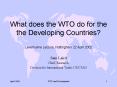 What does the WTO do for the the Developing Countries? Leverhulme Lecture, Nottingham 22 April 2002 PowerPoint PPT Presentation
