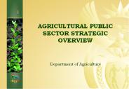 AGRICULTURAL PUBLIC SECTOR STRATEGIC OVERVIEW